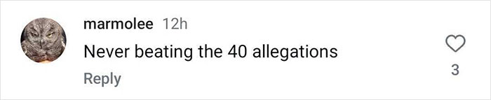Instagram comment with a cat profile picture, joking about "never beating the 40 allegations", received three likes.