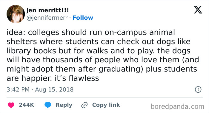 Funny social media post suggesting colleges check out dogs like library books for student happiness.
