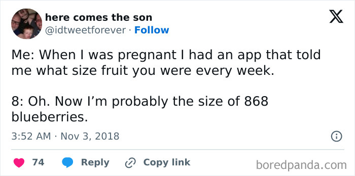 Funny tweet about baby's growth compared to fruit sizes shared by a parent.