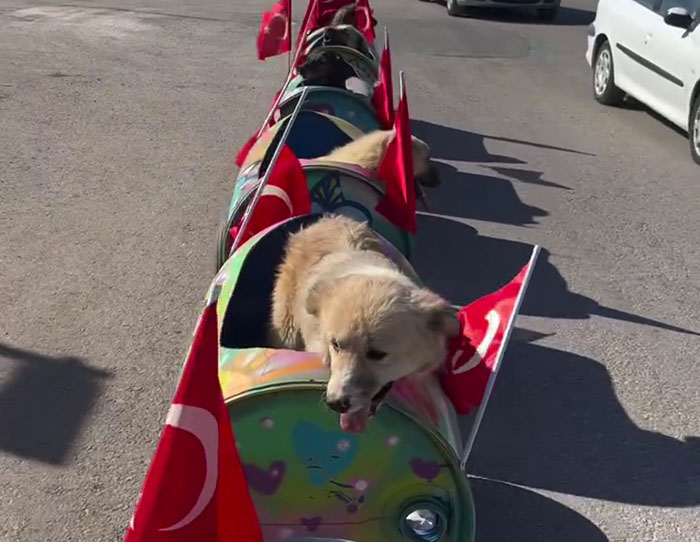 Dogs riding in a decorated train made of barrels, adorned with red flags, constructed by a woman.