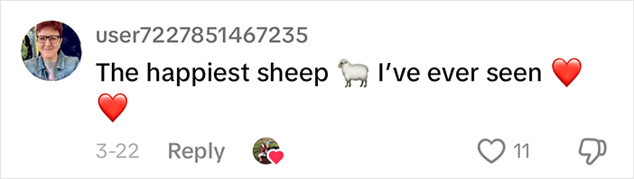 Comment reads: "The happiest sheep I've ever seen" with sheep and heart emojis.