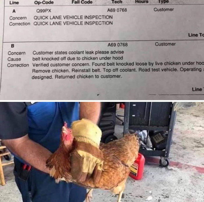Mechanic holds a chicken next to a car inspection report, showcasing a hilarious in-law moment.