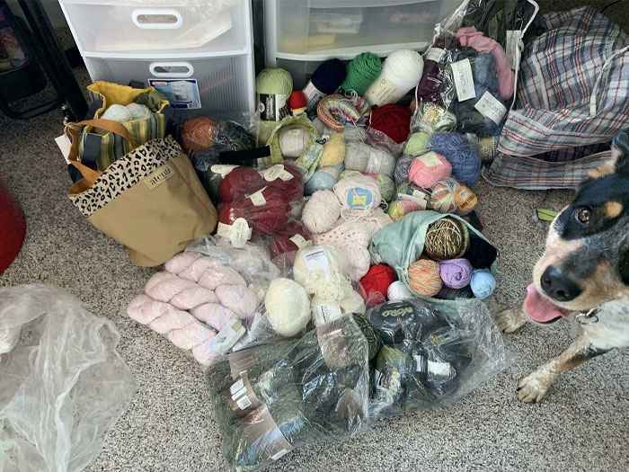 Yarn collection organized on the floor with a dog nearby, showcasing creativity and interest, related to amazing mothers-in-law.