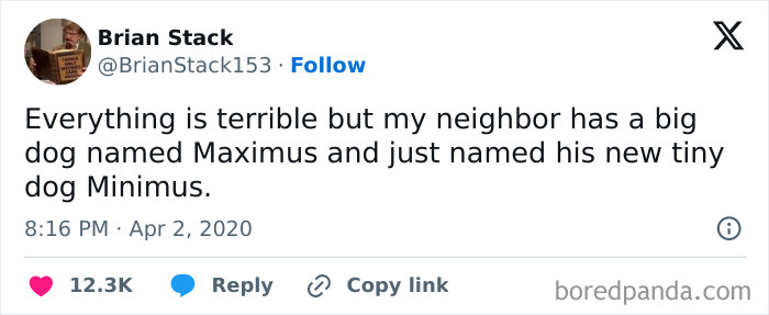 Tweet about big dog named Maximus and tiny dog named Minimus, highlighting funny content in random memes.