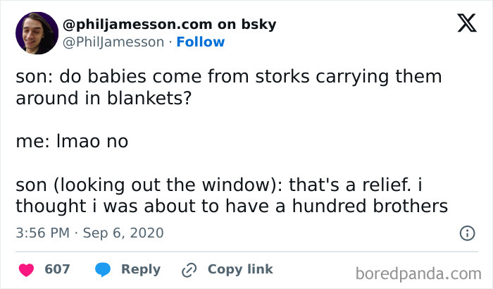 Screenshot of a funny tweet about a son's misconception on where babies come from, involving storks.