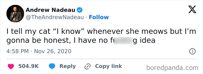 Hilarious meme about cats, featuring a tweet by Andrew Nadeau joking about talking to his cat without understanding her meows.