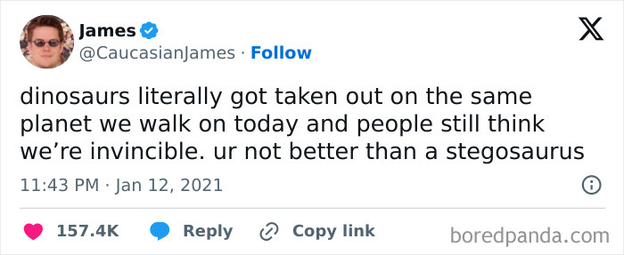 Tweet screenshot with a funny meme about dinosaurs and human invincibility, highlighting humor in an ironic way.