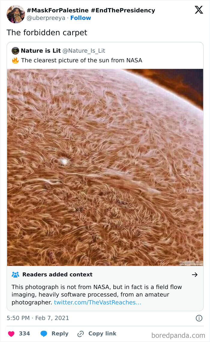Funny post about a fuzzy surface resembling the sun, described as the "forbidden carpet."