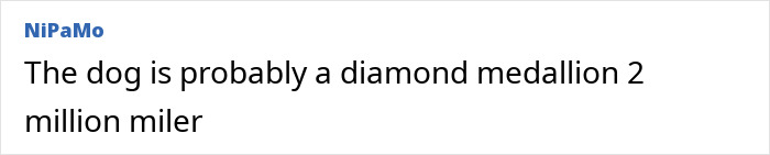 Passenger Gets Dragged For Complaining About Plane Seat He Lost To Dog: “Sorry Dude, Money Talks” Passenger Gets Dragged For Complaining About Plane Seat He Lost To Dog: “Sorry Dude, Money Talks”