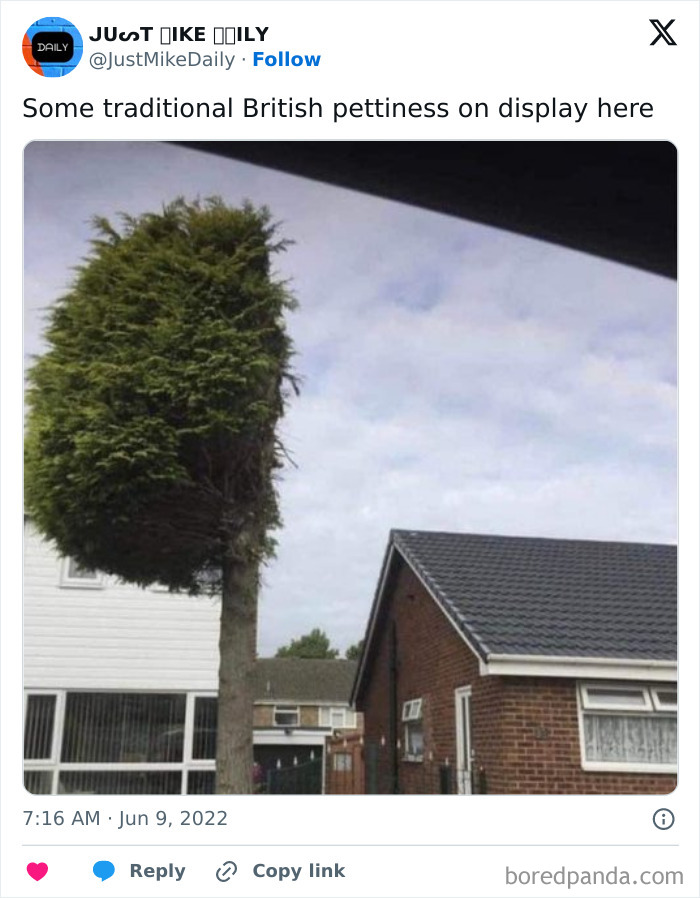 Tree humorously trimmed in half, showcasing British humor in suburban setting.