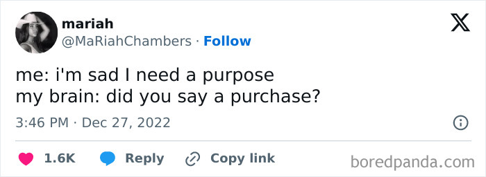 Relatable meme about finding purpose vs. making a purchase, capturing mental struggles with humor.