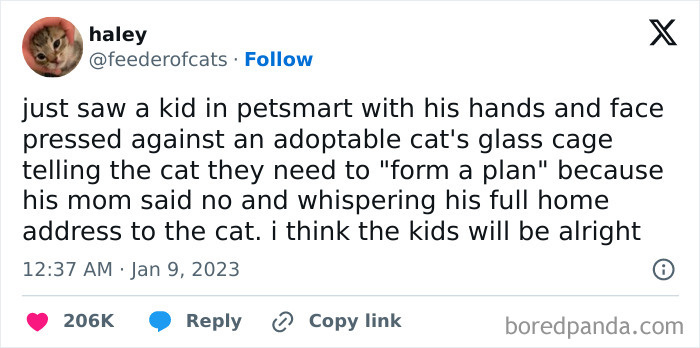 Kid plans escape with adoptable cat in a pet store, humorously whispering his address to the feline.
