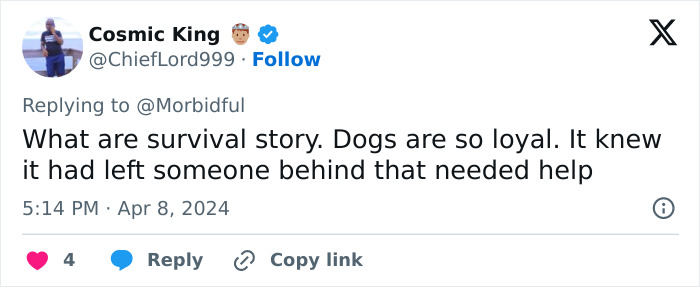 Real Life &ldquo;Mowgli&rdquo; Girl Who Defied All Odds In A Siberian Forest Has Hopes Of Becoming A Doctor