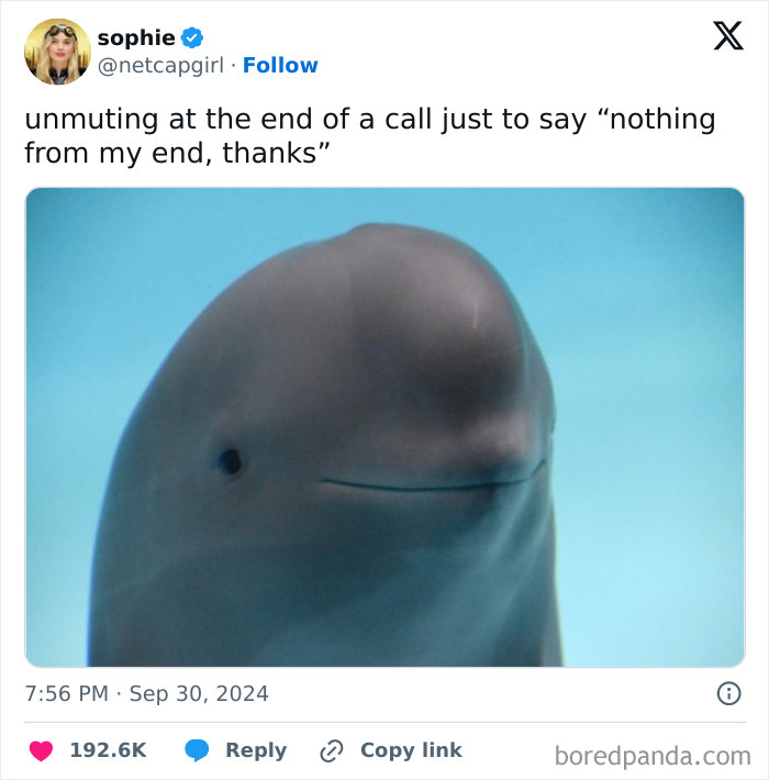 Beluga whale with a humorous caption about unmuting on calls, illustrating funny memes.