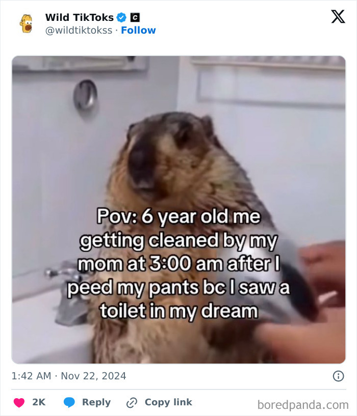 Weird-Unhinged-TikTok-Screenshots