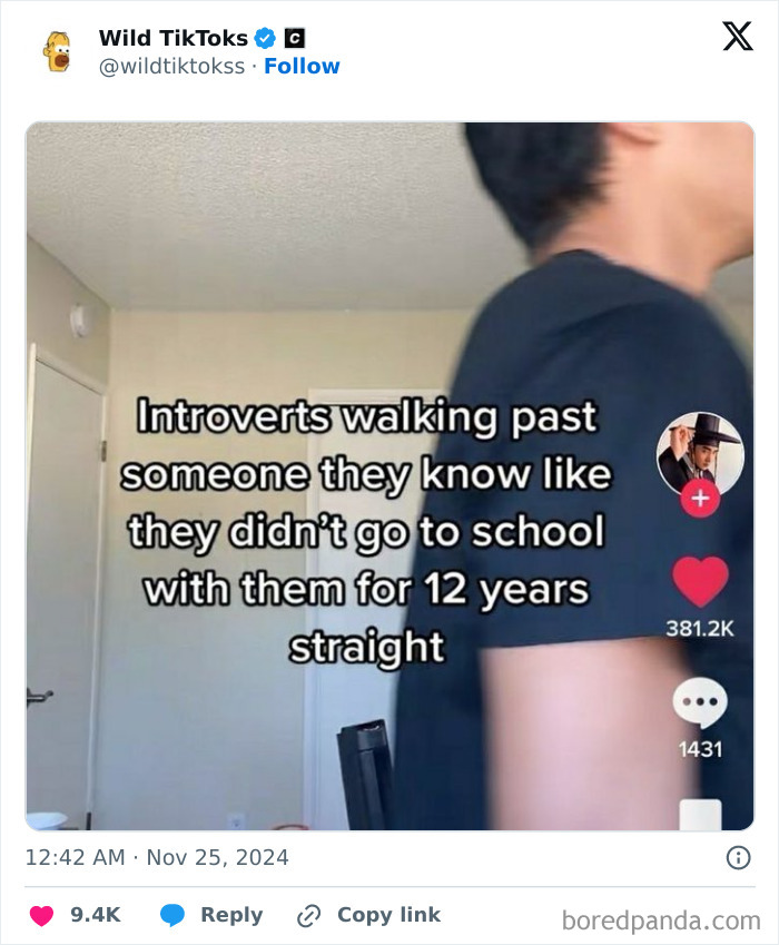 TikTok screenshot with text about introverts ignoring acquaintances.