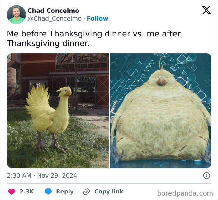 Hilarious Thanksgiving tweet with before-and-after dinner bird comparison image.