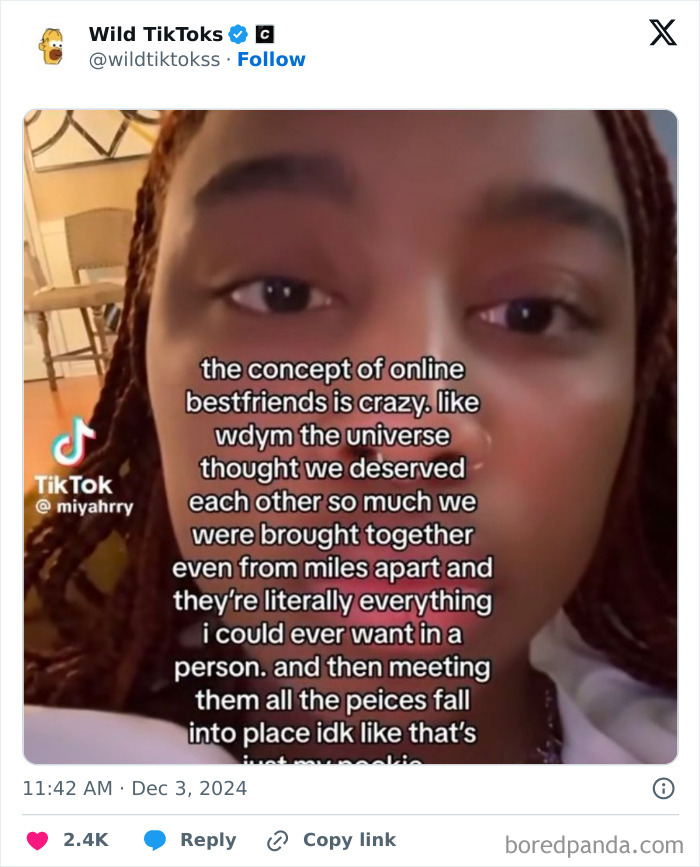 Weird-Unhinged-TikTok-Screenshots