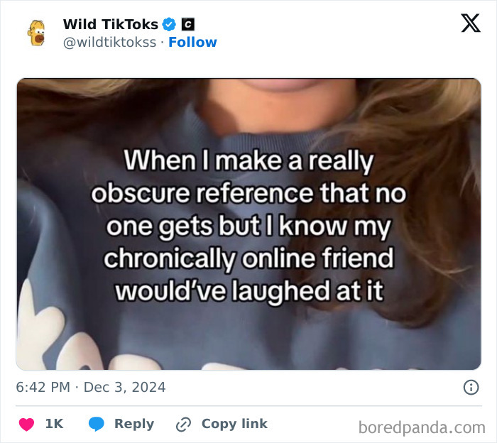 Weird-Unhinged-TikTok-Screenshots