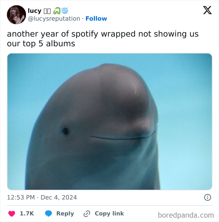 A beluga whale with text expressing disappointment over Spotify Wrapped 2024.