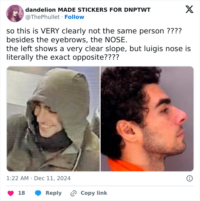 &ldquo;The Plot Thickens&rdquo;: Difference Between Masked CEO Assassin And Luigi Mangione Goes Viral