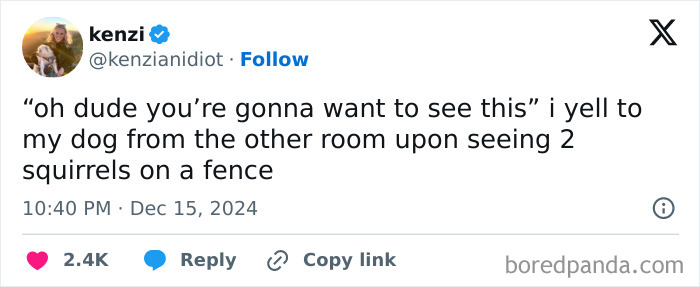 Screenshot of a tweet by a woman humorously calling her dog to see squirrels on a fence.