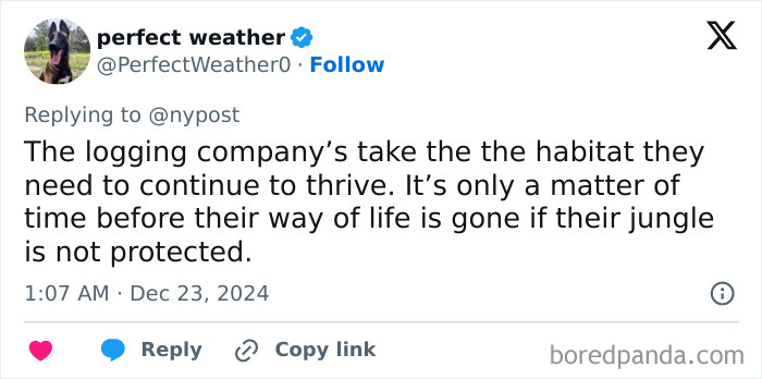 Never-Before-Seen Amazon Tribe Captured In Stunning First Glimpse: &ldquo;Leave Them Alone&rdquo;