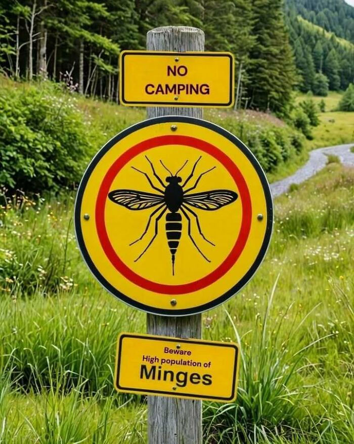 Yellow warning sign in Scotland with a midge illustration, stating "No Camping" and "Beware High population of Midges."