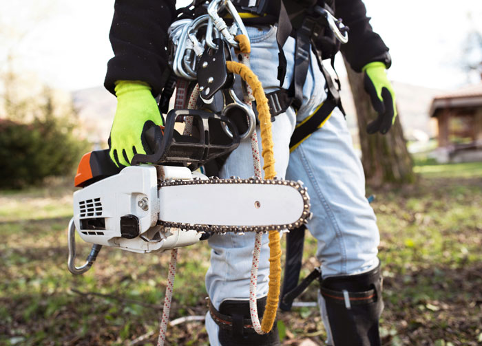 &ldquo;I Told You So&rdquo;: Dodgy Arborist Ignores Warning, Causes $300K Damage, Regrets It Fast