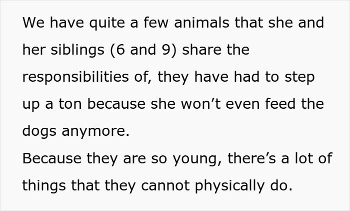 Text describing family responsibilities and chores shared by siblings.