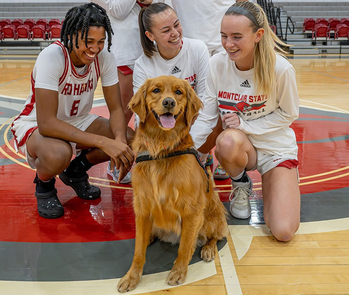 College B-Ball Team Employs Golden Retriever As Their &lsquo;Director Of Pawsitivity,&rsquo; And Netizens Love It