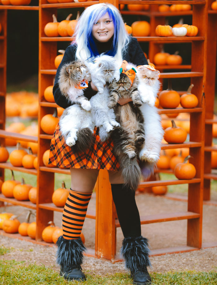 Person with blue hair, wearing mismatched socks and holding cats, standing in front of a pumpkin display, focused on fashion trends.
