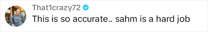 Comment by That1crazy72: "This is so accurate.. sahm is a hard job," relating to family and sacrifice discussions.