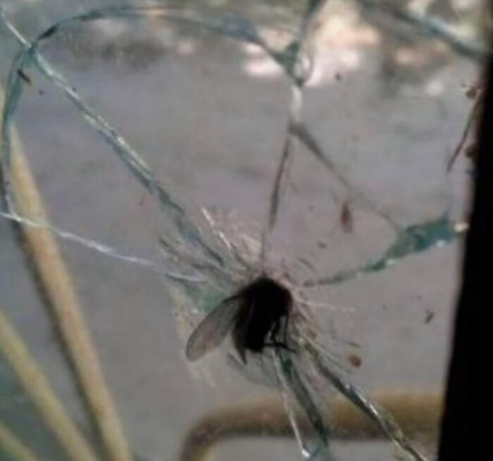 Images-Could-Be-Album-Covers