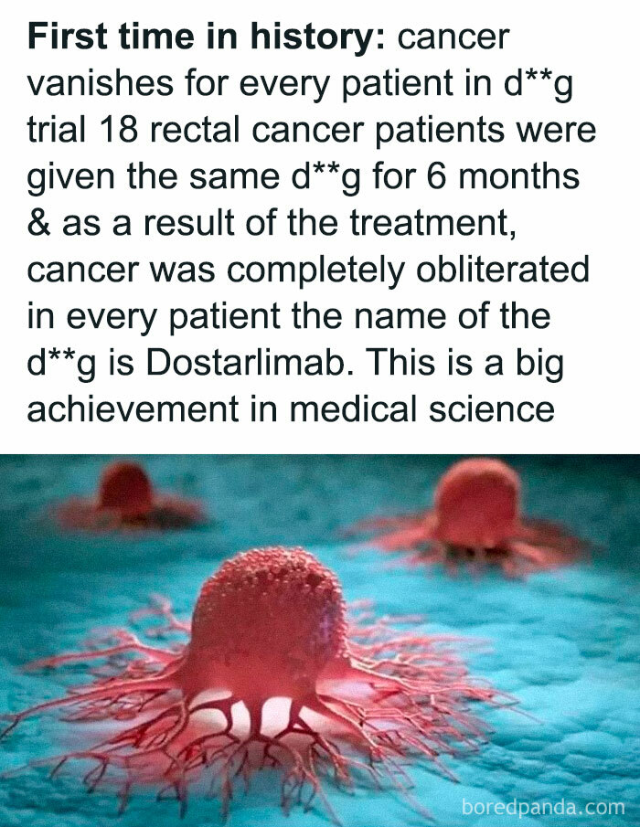 Cancer treatment success with Dostarlimab, eliminating tumors in patients, showcasing a major medical achievement.