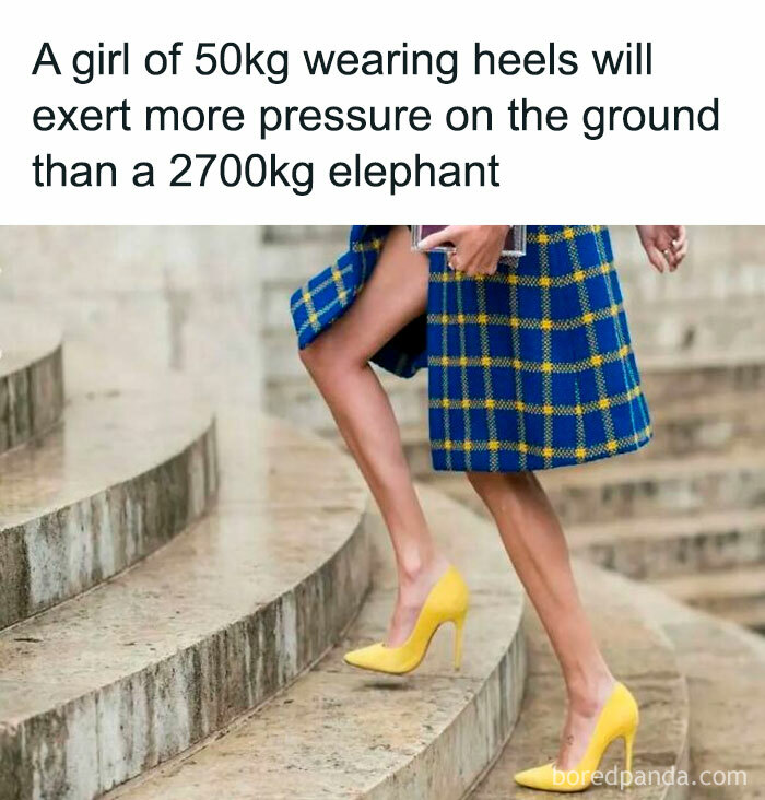 Woman in yellow heels and blue plaid skirt on steps, illustrating pressure comparison with elephants.