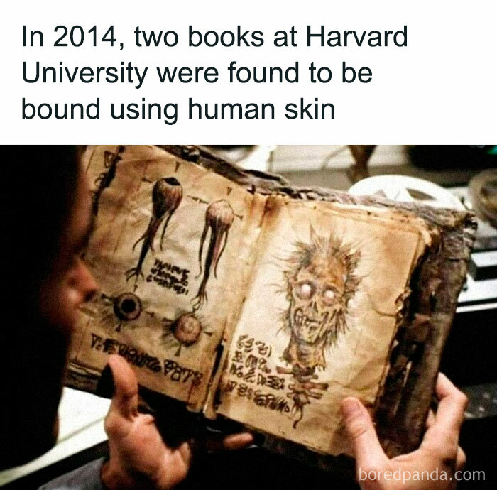 Person holding an old book with human skin binding, part of undiscovered facts.