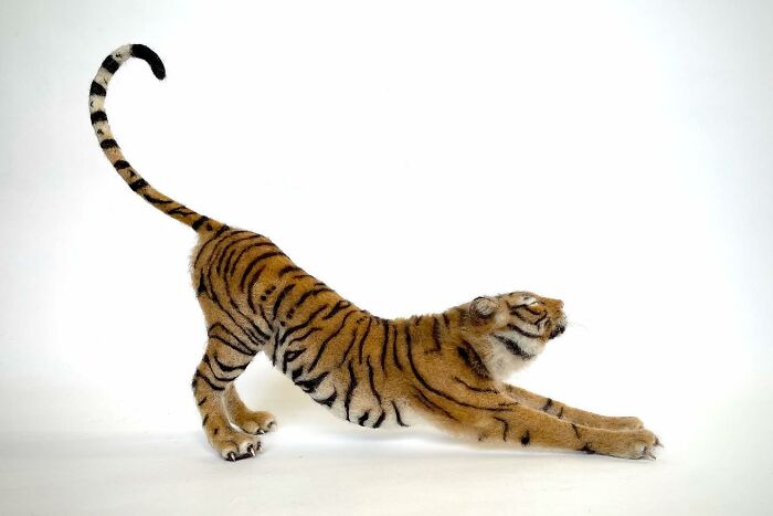Needle-felted animal of a stretching tiger with detailed stripes and lifelike pose on a plain white background.