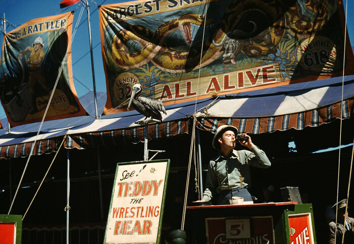 Carnival scene from 100 years ago with a man drinking soda near vintage banners and a pelican perched above.