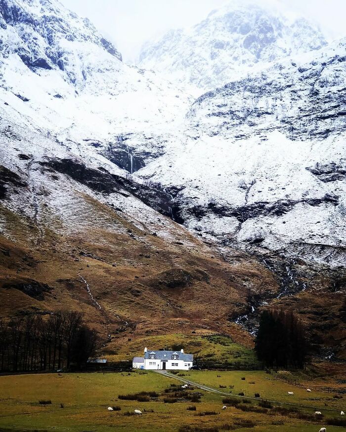 Scotland landscape: a white cottage surrounded by snowy mountains and grassy fields.