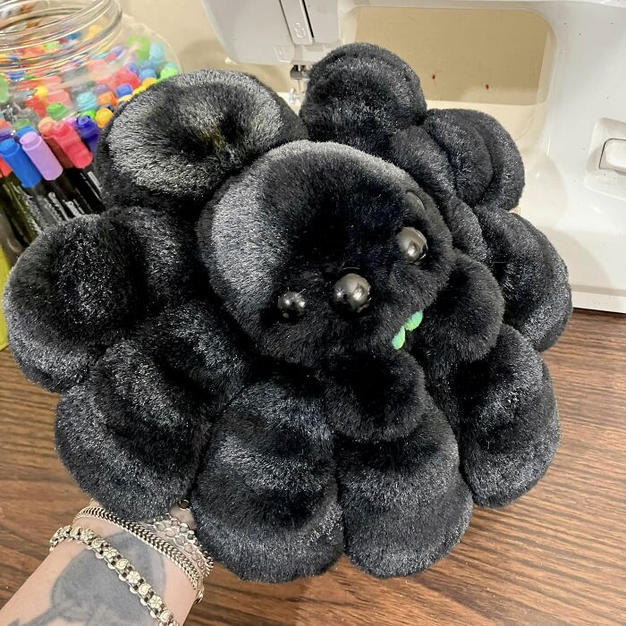 Fancy Jumping Spiders