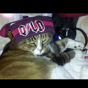 simone-wagner111 avatar