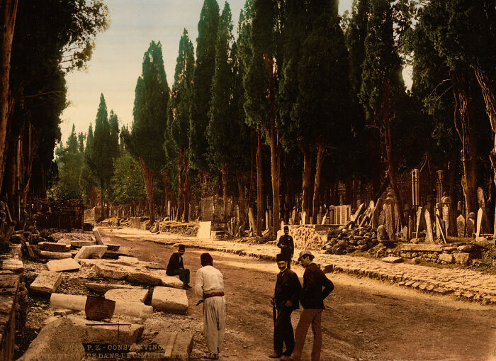 Old color photo of a historic street scene with tall trees and several people walking, showcasing the world 100 years ago.