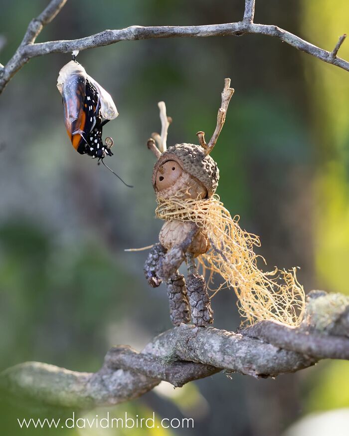 Becorn figure made of acorns and sticks on a branch, interacting with a butterfly in a natural setting.