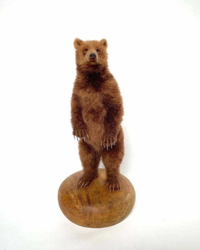 Needle-felted bear sculpted by artist, showcasing lifelike fur and detail on a wooden base.