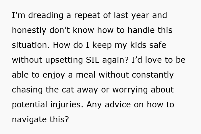 Woman Asks, "AIBU To Expect My SIL To Keep Her Aggressive Cat Away During Xmas?"