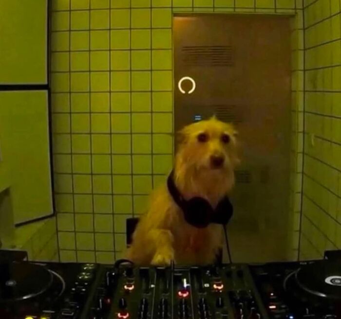 Images-Could-Be-Album-Covers