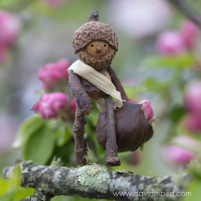 Becorn figure crafted from acorns and sticks, set against a background of pink blossoms on a tree branch.