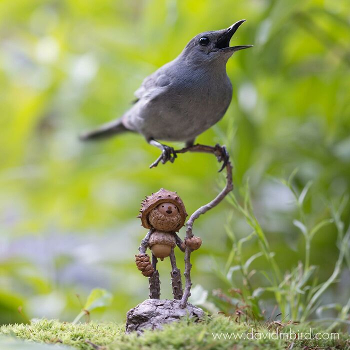 Bird perched on a stick with a Becorn figure made of acorns and twigs, set in a lush green environment.