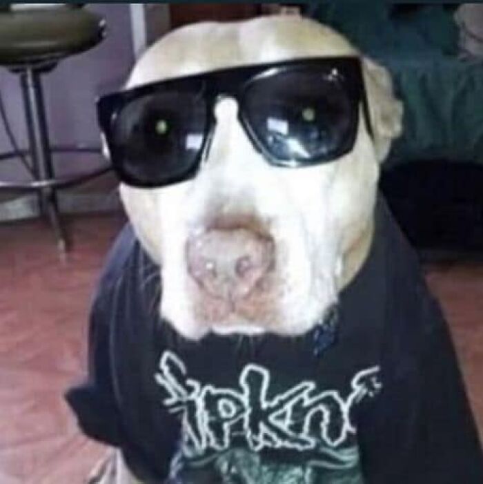 Images-Could-Be-Album-Covers